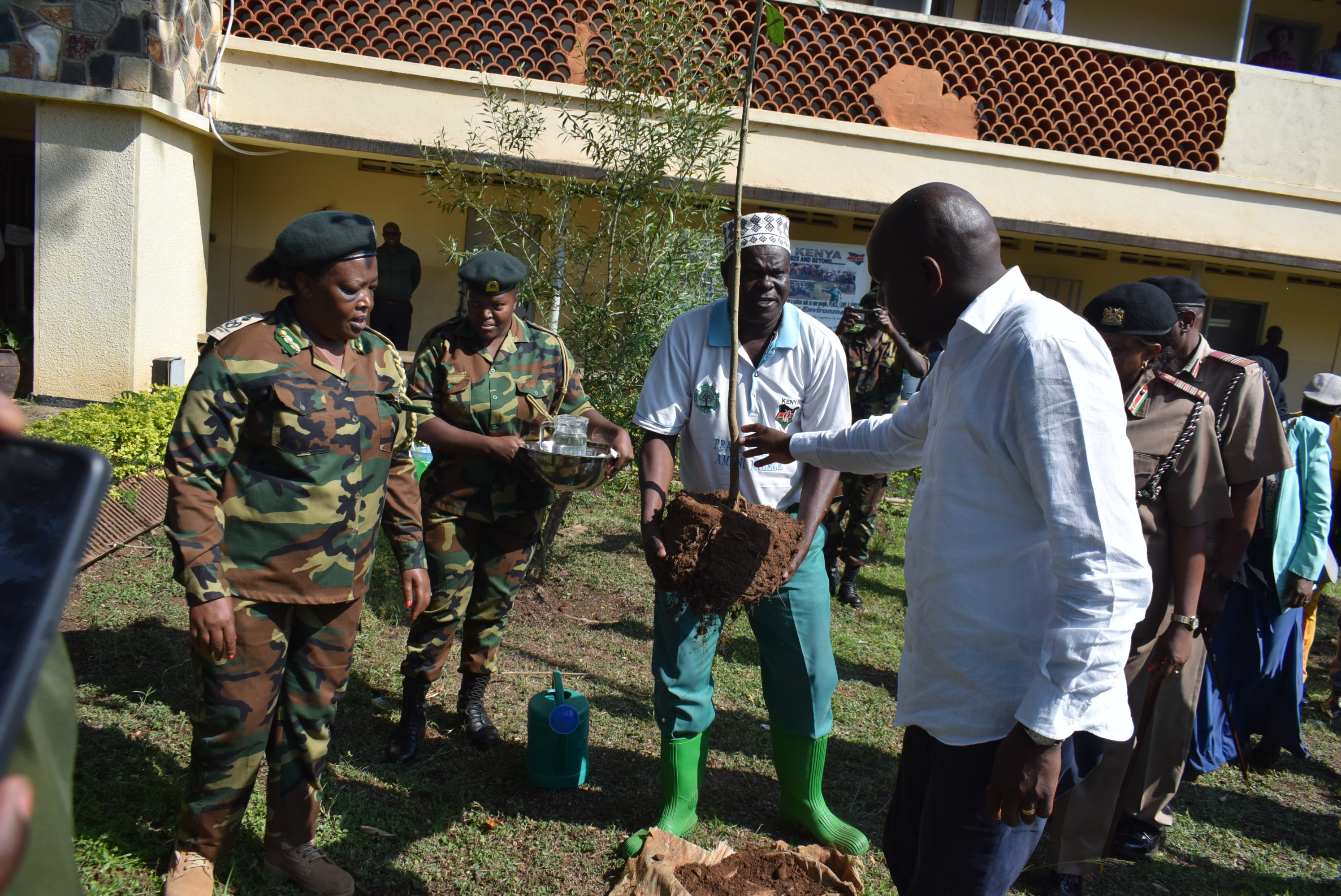 Tree Planting Program